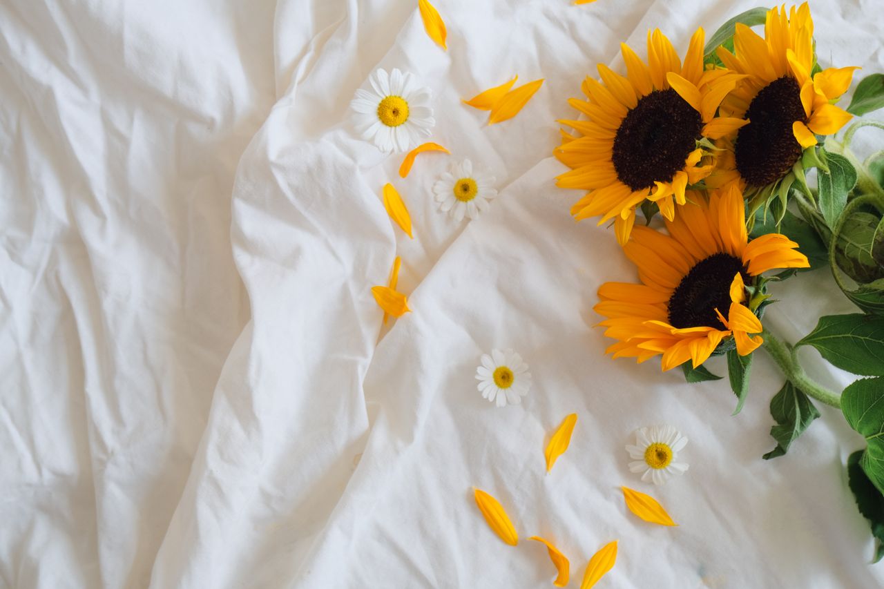 Vibrant sunflowers and daisies lie on smooth white bedding, capturing a sense of tranquility.